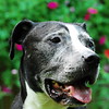abrafortune > DSC_0067.JPG