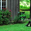 abrafortune > DSC_0069.JPG