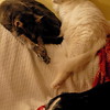 abrafortune > DSC_0234.JPG