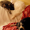 abrafortune > DSC_0235.JPG