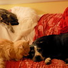 abrafortune > DSC_0244.JPG