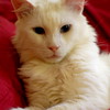 abrafortune > DSC_0289.JPG