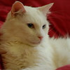 abrafortune > DSC_0291.JPG