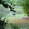 abrafortune > DSC_0038.JPG