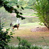abrafortune > DSC_0045.JPG