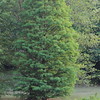 abrafortune > DSC_0097.JPG