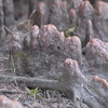 abrafortune > DSC_0224.JPG