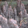 abrafortune > DSC_0225.JPG