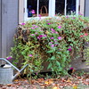 abrafortune > DSC_0230.JPG copy