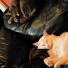 abrafortune > DSC_0901.JPG