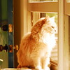 abrafortune > DSC_0992.JPG
