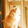 abrafortune > DSC_0988.JPG