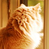 abrafortune > DSC_1000.JPG
