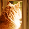 abrafortune > DSC_1005.JPG