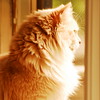 abrafortune > DSC_1001.JPG