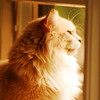 abrafortune > DSC_1007.JPG