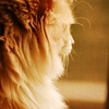 abrafortune > DSC_1010.JPG