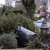 abrafortune > DSC_0420.JPG