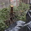 abrafortune > DSC_0586.JPG