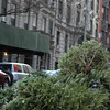 abrafortune > DSC_0462.JPG