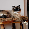 abrafortune > DSC_0143.JPG copy