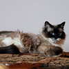 abrafortune > DSC_0166.JPG copy