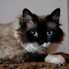 abrafortune > DSC_0185.JPG