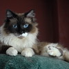 abrafortune > DSC_0223.JPG