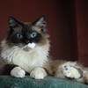abrafortune > DSC_0226.JPG