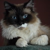 abrafortune > DSC_0249.JPG