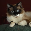 abrafortune > DSC_0266.JPG