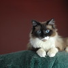 abrafortune > DSC_0275.JPG